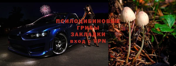 гашик Лагань