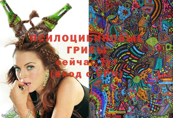 герыч Ладушкин