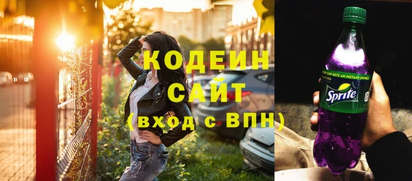 дмт Лабытнанги