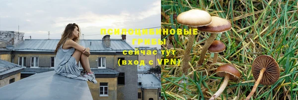 герыч Ладушкин