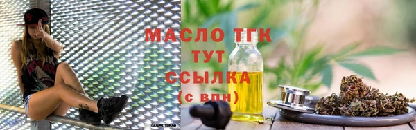 индика Дегтярск