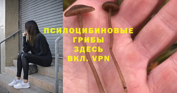дмт Лабытнанги